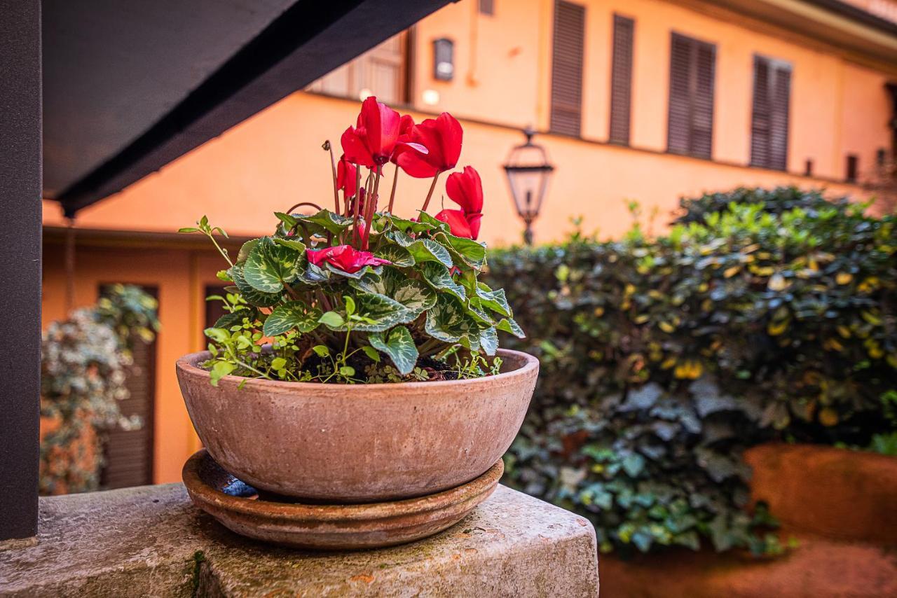 Cosy Studio In The Greenest Corner Of Trastevere Рим Екстер'єр фото