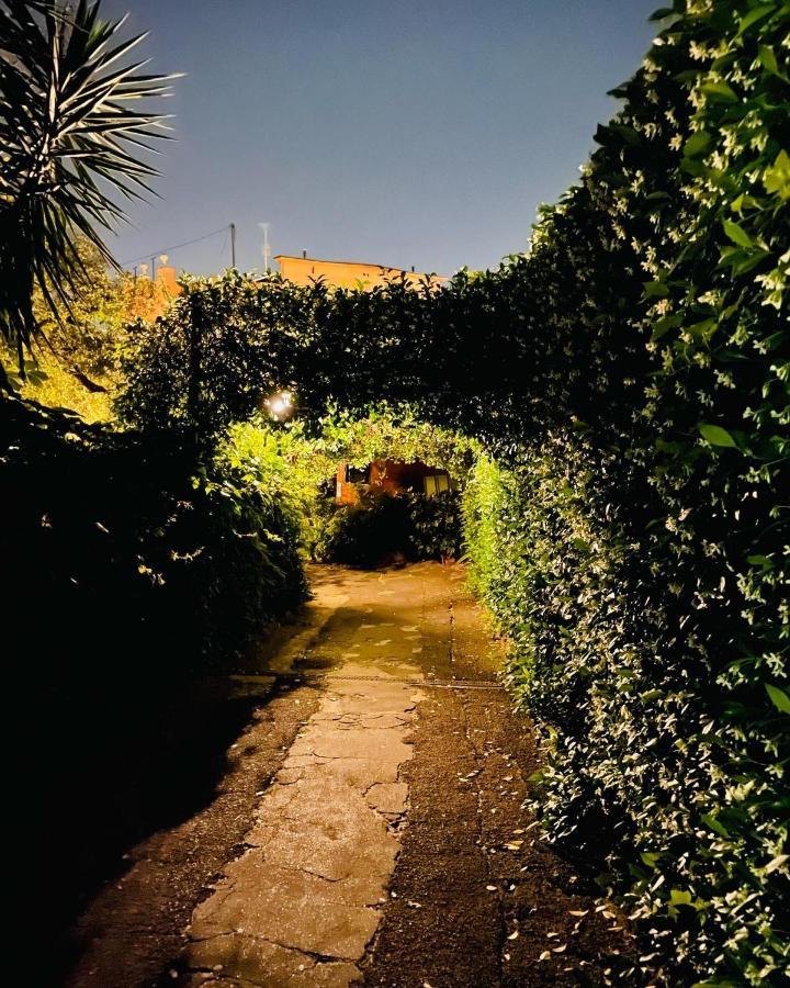 Cosy Studio In The Greenest Corner Of Trastevere Рим Екстер'єр фото